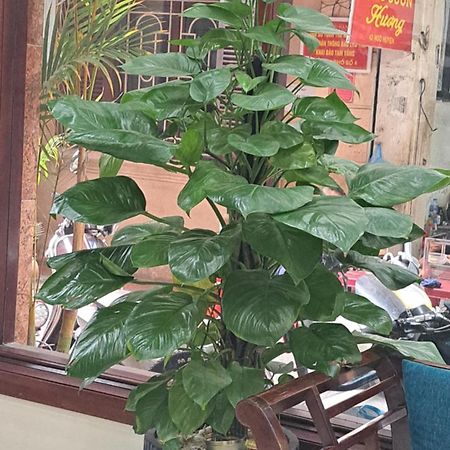Hanvet Boutique Hotel Hanoi Zewnętrze zdjęcie